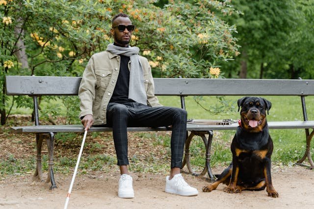 A man with dark glasses, a white cane and a dog sitting on a park bench